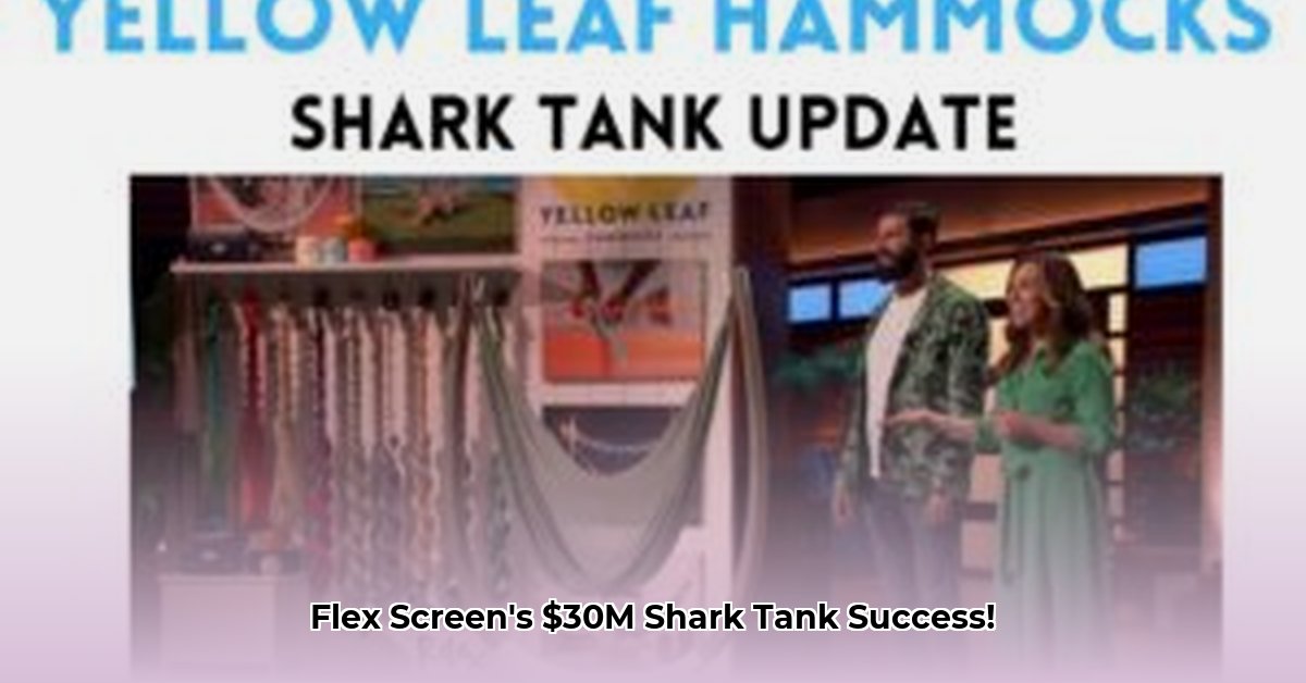 flex-screen-shark-tank-net-worth